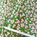 華やかな友禅和紙 満開の桜の木 緑 大判 約63ｘ93cm 千代紙