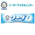  soda I скан te-20 шт. входит Kubota еда размер 3