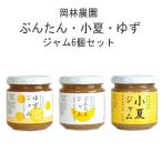 文旦 小夏 ゆず のジャム   6個入りセット 高知 岡林農園 ギフト 手土産 母の日