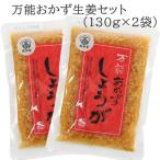 高知県産の生姜で作った 万能 おかずしょうが　2袋セット　おかず生姜 高知 買いだおれ キャンペーン 1000円 ぽっきり