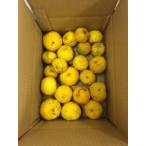  есть перевод ..2Kg Kochi префектура производство. .. культивирование средний пестициды не использование зима . yuzu ванна 