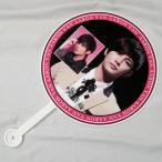 fe il n высокий (. колесо море )...( Aaron *yan) концерт для веер "uchiwa" очень большой ( Корея производства )2