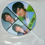 F4 vi k*chou(VIC...) концерт для веер "uchiwa" очень большой 5 ( Корея производства )