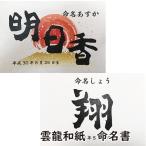. дракон японская бумага A4 жизнь название документ жизнь название бумага Fuji "солнечный круг" кисть знак .. знак празднование рождения memorial сувенир 