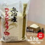 米 お米 5kg セール  コ