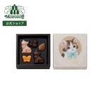 morozof шоколад . кошка. ... магазин. ku5 штук 