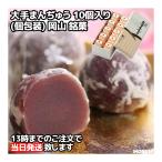大手まんぢゅう 10個入り 伊部屋 大手まんじゅう 岡山 銘菓