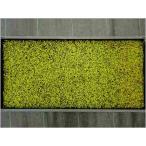 スナゴケトレー