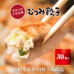 むつみ屋のギョーザ むつみ餃子〔冷凍〕 30個 | むつみ屋 ギョーザ 浜松餃子 産地直送 贈答 冷凍ギョーザ クール冷凍便