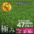最高ランク 最安値挑戦 人工芝 芝生 芝 人工芝生 ガーデン サッカー 超高密度47万本 防草シート一体型 耐候性10年 芝丈35mm 固定ピン付 2×10mロール