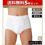 5枚セット GQ-1 ベーシック スパンブリーフ 前あき パンツ 3Lサイズ グンゼ GUNZE 綿100% GQ0330-3L-SET