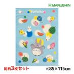  такой же рисунок 3 шт. комплект круг . Ghibli Tonari no Totoro . днем . Kett махровое покрывало ребенок младенец 