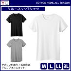 30%OFF YGwaiji-COTTON100% вырез лодочкой футболка короткий рукав круглый вырез Gunze GUNZE[2 листов до почтовая доставка возможно ]