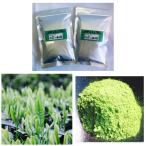 Yahoo! Yahoo!ショッピング(ヤフー ショッピング)もて茶って　狭山粉末茶１００g×２袋（上）　狭山茶100％  上級  煎茶　粉末茶　粉茶　パウダー　煎茶　緑茶　
