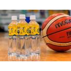 ブレックスウォーター　500mL　24本詰