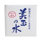 那須 美玉の水 バッグインボックス10L 2個詰　蛇口付き