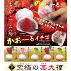 スクイーズ もち 香る究極の苺大福 キーホルダー 大福餅 食品サンプル 可愛い もちもち やわらか 癒しグッズ 選べる全5種