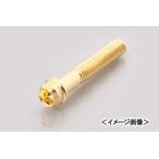 【ネコポス対応】KITACO コンビニパーツ・プロ ビビッドボルト（24Kメッキ）/M6×70（P1.0） 0901-060-00014
