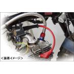 C.F.POSH скорость Pro twin силикон plug cord 180 раз T-1( код joint нет ) красный 