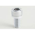 TANAX M10正キャップボルト クローム NP-001