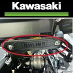 在庫有り 当日発送 Kawasaki Z900RS SE (22) カバー  カワサキ純正 140931051