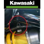  наличие есть этот день отправка Kawasaki оригинальный зажим Kawasaki Kawasaki Z900RS SE (22) 921731471