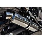 Vストローム250(2BK-DS11A)