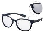 SWANS スワンズ サングラス Df.pathway �