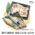 御歳暮 早割 ギフト 贈り物 海鮮 漬魚 お魚ギフト 銀だら越後味噌漬 岩船豚ロース塩こうじ漬 詰合せ お祝い お返し