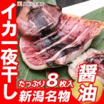 敬老の日 干物セット イカ一夜干し 冷凍 醤油 4パック 1袋2枚入 ギフト スルメイカ いかの一夜干し いか 酒の肴 贈り物 お祝い お返し プレゼント