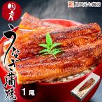 ショッピングうなぎ うなぎ 国産 蒲焼き  鹿児島県 指宿産鰻 長蒲焼き 冷凍 贈り物 お祝い お返し お取り寄せ グルメ 食べ物 ギフト 爆買