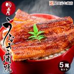 土用の丑の日 夏ギフト うなぎ 国産 蒲焼き 5尾セット 鹿児島県 指宿産鰻 長蒲焼き 冷凍 贈り物 お祝い お返し お取り寄せ グルメ お中元 お歳暮