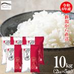 米 10kg (2kg×5袋) 送料無料 新潟県産 令和6年産 新之助 お米 ブランド米 精米 白米 ギフト