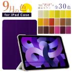 選べる全30色 iPad ケース 第10世代 10.9インチ miniA17 Pro mini6 Air5 第9世代 10.2 可愛い 2019 9.7 第6世代 mini5 M2保護カバー ニュアンスカラー くすみ