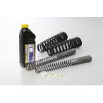 HYPERPRO ハイパープロ コンビKIT(フロント＋リアスプリング) CB400SF VTEC 1/2 98-03 [22013110+22013111]