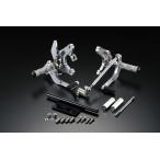 OVER над задняя подножка рейсинг модель ( диск ) серебряный MONKEY