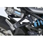 OVER over NITRON&amp; Aragosta for tandem relocation plate black Z900RS