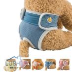  собака для подгузники женский собака для менструация брюки домашнее животное одежда собака для менструация брюки собака трусы для животных самка собака менструация сопутствующие товары стирка возможность выход уход .... меры принадлежности для воспитания 