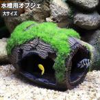 [ новинка ] аквариум для произведение искусства . type taru под старину вино . товары для домашних животных .. дом ценные рыбы тропическая рыба аквариум внутри интерьер орнамент расположение сопутствующие товары оборудование орнамент ...