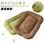 [ новинка ] предотвращение скольжения кошка. bed собака bed маленький размер собака бесформенный нет собака bed квадратное домашнее животное bed собака собака для осень-зима для симпатичный нежный домашнее животное подушка собака be