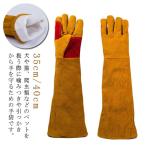 [ новинка ] собака толстый домашнее животное кусание есть предотвращение домашнее животное кусание есть кошка собака для перчатки домашнее животное перчатка собака перчатка безопасность перчатка предотвращение телячья кожа садоводство жаростойкий перчатка произведение 