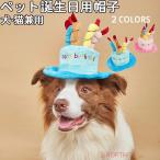  собака день рождения товары кошка для день рождения шляпа собака день рождения нежный материалы. кекс шляпа день рождения товары день рождения подарок день рождения шляпа . день рождения кекс день рождения украшение установка день рождения 