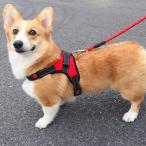  собака для комфорт шлейка с поводком имеется собака Harness собака для Harness шлейка текстильный легкий Lead собачий поводок прогулка лучший Harness собака простой оборудован 