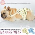  собака правила поведения одежда гигиенический брюки трусы для животных . суши одежда трусы на подгузник собака одежда собака. одежда воспитание маркировка предотвращение туалет уход 