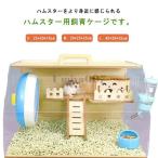  популярный хомяк мера большой размер хомяк клетка пластиковый кейс из дерева house золотой хомяк разведение комплект хомяк клетка садок для разведения прозрачный .