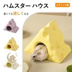  хомяк хомяк bed керамика керамика производства . чувство poke мяч маленький магазин лето меры .... bed ... хомяк клетка .. дом развлечение место сон bed постельные принадлежности место 