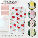  собака для . после одежда собака кошка кошка . после надеты . после одежда / царапина . облизывание нет кожа .... подгузники мужчина женщина . после одежда царапина . защита кожа защита царапина облизывание .... период товары для ухода 