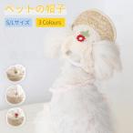  собака шляпа кошка колпак симпатичный . собака шляпа собака . Хара шапочка симпатичный колпак собака для колпак домашнее животное товары домашнее животное аксессуары весна лето шляпа собака одежда навес меры собака. шляпа 