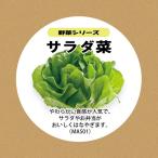 たね 野菜の種 サラダ菜水耕栽培種子セット サラダ菜タネ約20粒・液体肥料5…