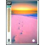 【中古】BOREDOMS ボアダムス　／　SUPER SEEEEEE!!!!!!〔DVD〕